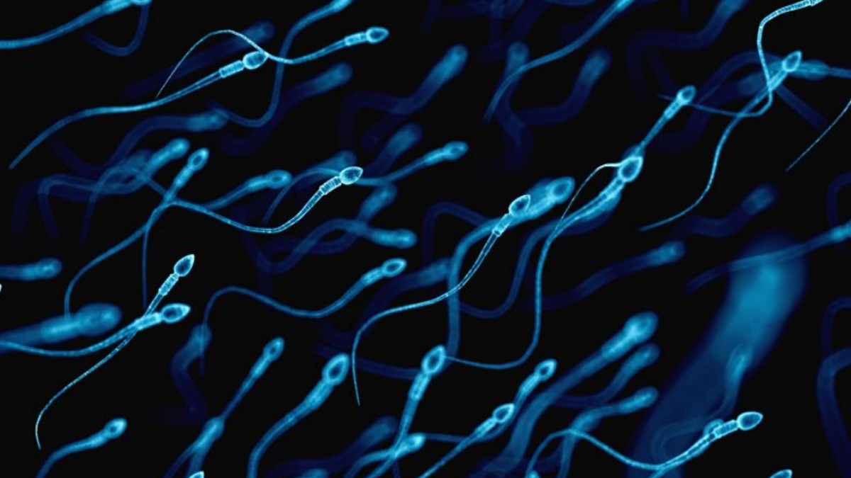 How To Increase Sperm Volume Overnight: Top 5 Best Sperm Volume Pills