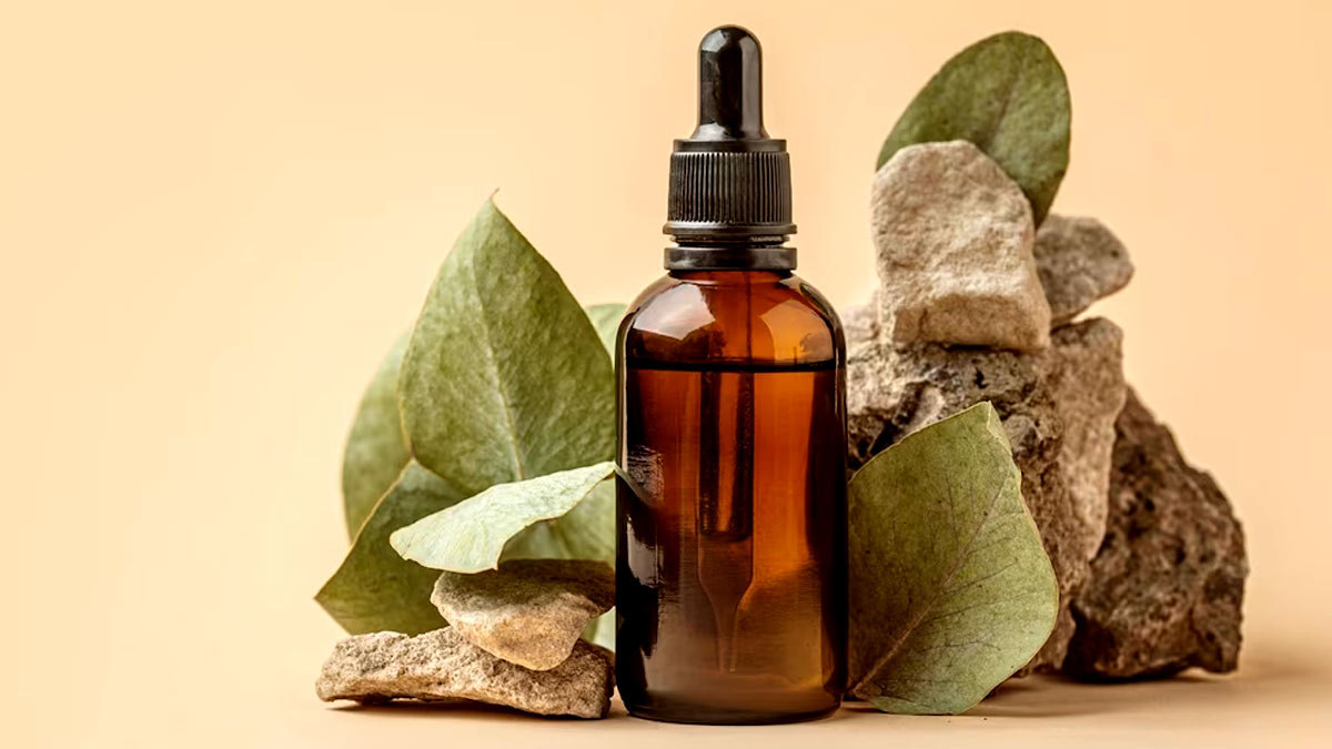 Tea Tree Oil Benefits: சருமம் மற்றும் முடி ஆரோக்கியத்திற்கு தேயிலை மர எண்ணெய் தரும் நன்மைகள்