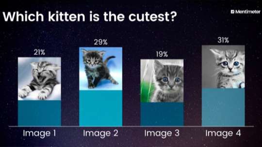 Which kitten is the cutest?