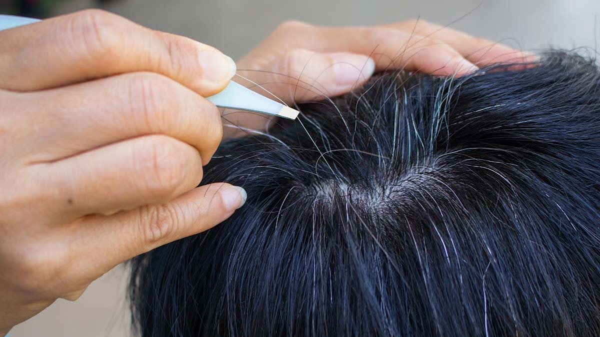 Do You Pluck Your Grey Hair? Expert Explains If It Turns The Rest Grey?