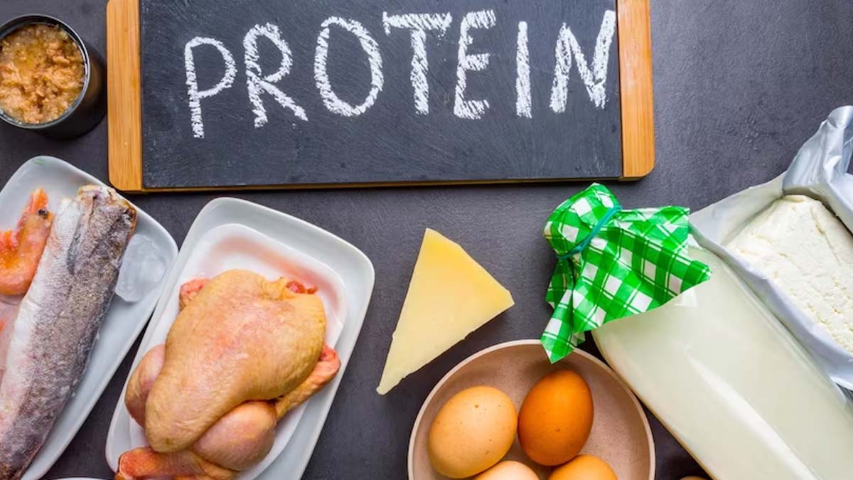 What Are Lean Proteins? How It Can Help To Shed Kilos 