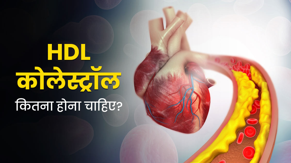 रक्त में एचडीएल कोलेस्ट्रॉल कितना होना चाहिए? जानें एचडीएल कम होने से क्या समस्याएं हो सकती हैं?
