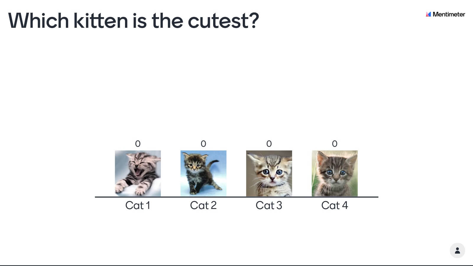 Icebreaker Idea! Vote for the Cutest Kitten